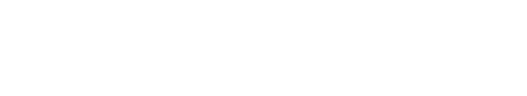 dizziDecalzLogoNewWhite